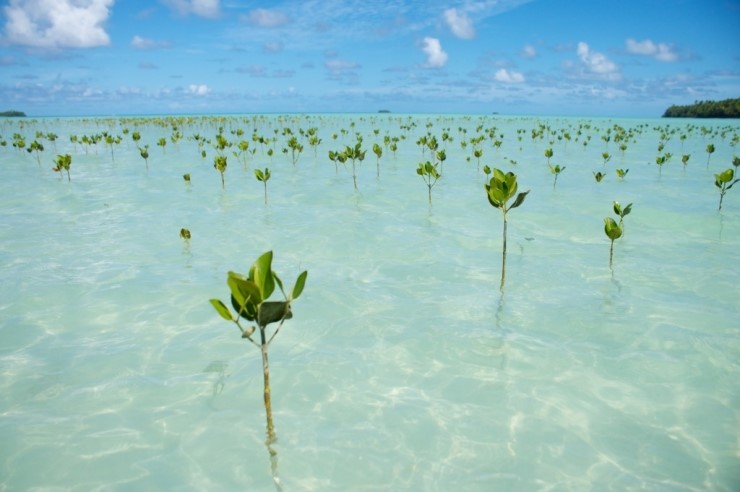 tuvalu1